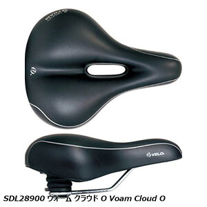 VELO F SDL28900 H[ NEh O Voam Cloud O ]ԗp Th