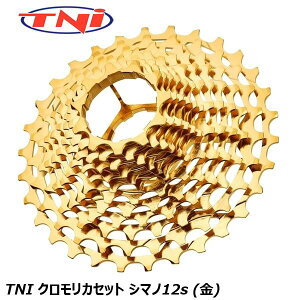 TNI eB[GkAC TNI NJZbg V}m12s () ] XvPbg