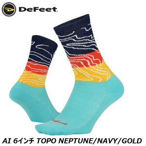 DeFeet fBtB[g AI 6C` TOPO NEPTUNE/NAVY/GOLD TCN\bNX C