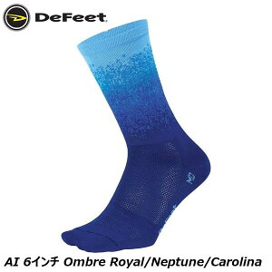 DeFeet fBtB[g AI 6C` Ombre Royal/Neptune/Carolina TCN\bNX C
