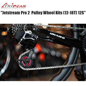 TRIPEAK トライピーク Jetstream Pro 2 Pulley Wheel Kits (12-18T) 12S用　(セラミックベアリング) ビッグプーリー 自転車 プーリー プーリーケージ