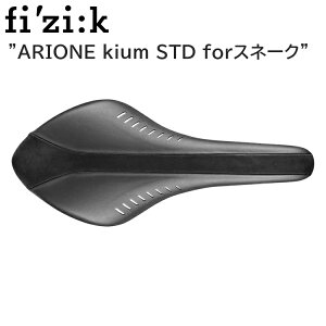 fizik tBW[N ARIONE kium STD forXl[N ubN 7014SXSD99640 ]ԗp Th