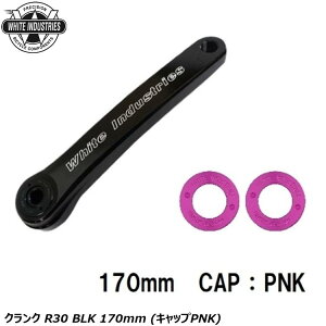 WHITE INDUSTRIES zCgC_Xg[Y NN R30 BLK 170mm (LbvPNK) ] NNA[