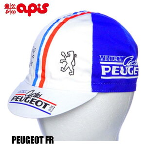 APIS �A�s�X PEUGEOT FR �T�C�N���L���b�v