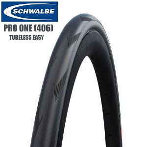 SCHWALBE Vx vi406j TLE^Cv `[uXC[W[ 20x1.10 ^C ] [hoCN p[c