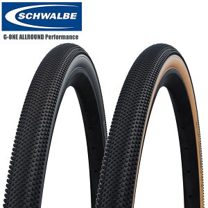 SCHWALBE Vx Vx W[ I[Eh Performance[hp`[uX^C ^C ] [hoCN p[c