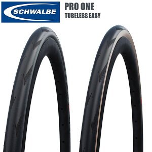 SCHWALBE Vx v TLE^Cv `[uXC[W[ ^C ] [hoCN p[c