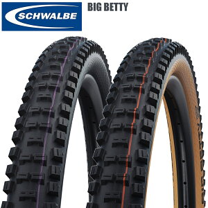 SCHWALBE Vx rbOxeB [hp`[uX^C ^C ] [hoCN p[c
