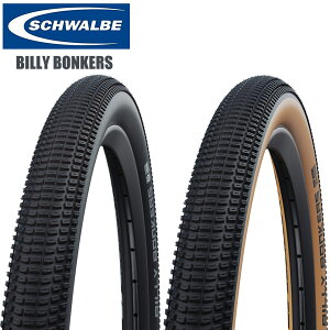 SCHWALBE Vx r[{J[Y }EeoCNpIt[h^C ^C ] p[c