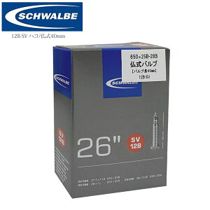 SCHWALBE Vx 12B-SV nR@650x25B 650x28B(27.5x1.10) 26x3/4 - 1.00 ] Ci[`[u