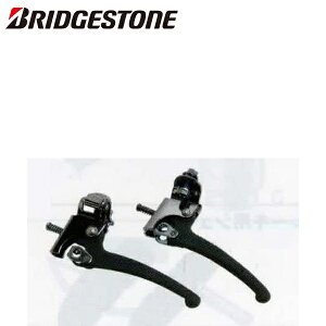 BRIDGESTONE uaXg cpu[Lo[Zbg 4850429 P6589 N120SP.A GR1 ] u[Lo[