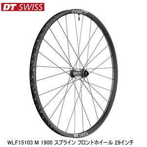 DTSwiss XCX WLF15103 M 1900 XvC tgzC[ 29C` gzC[ ]