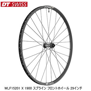 DTSwiss XCX WLF15201 X 1900 XvC tgzC[ 29C` gzC[ ]