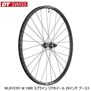 DTSwiss XCX WLR15701 M 1900 XvC AzC[ 29C` u[Xg gzC[ ]