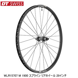 DTSwiss XCX WLR15707 M 1900 XvC AzC[ 29C` gzC[ ]