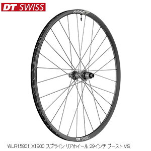 DTSwiss XCX WLR15801 X1900 XvC AzC[ 29C` u[Xg MS gzC[ ]