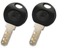 BRIDGESTONE ブリヂストン SPK-SLK スペアキー 2個セット 一発二錠 BSロックIII他用 合鍵 鍵 SPKSLK 自転…