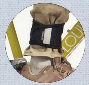 I[Xgb` Y{NbvC 1 ( pc̐ ) OSTRICH