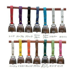 ViVA �r�o �x�� ���]�� ���Â��x��