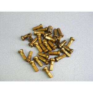 iTs/SAPIM)i]ԗpjbvjSecureLock A~ (14G/12mm/100P) CG[(S[h)