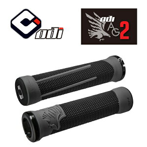 (ODI/�I�[�f�B�[�A�C)AG2 V2.1 ���b�N�I���O���b�v BK/GF