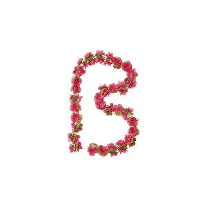 (BASIL/oW)JSp[c BASIL t[K[h 170CM t[VA