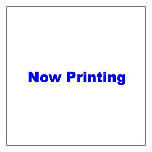 DEDAELEMENTI f_GeB DCR MICROSHIMS steel(2pcs) HDDCRMS ] wbhp[c