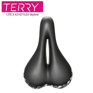 Terry e[ Th CITE X #21071L03 Skyline ] [hoCN