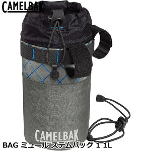 CAMELBAK �L�������o�b�N BAG �~���[�� �X�e���o�b�O 1 1L �t�����g�o�b�O