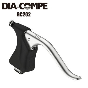 DIA-COMPE _CARy u[Lo[ GC202 ]