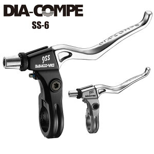 DIA-COMPE _CARy u[Lo[ SS-6 ]