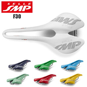 SELLE SMP ZGXGs[ Th [hoCN F30 ] p[c