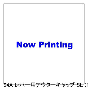 DIA-COMPE _CARy 94A o[pAE^[Lbv SL (10) ] u[Lo[