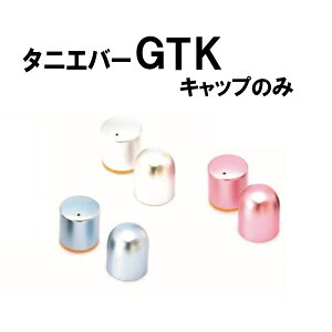 GTK Lbv̂ p  9mm l[