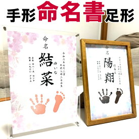 【月間MVP受賞】 命名書 手形 足形 赤ちゃん プレゼント ギフト 出産 お七夜 内祝い ベビー 名入れ かわいい 新生児 男の子 女の子 手形スタンプ 額縁 命名紙 手足型 命名セット 名前入れ おしゃれ 子供 スタンプ メモリアル 【送料無料】