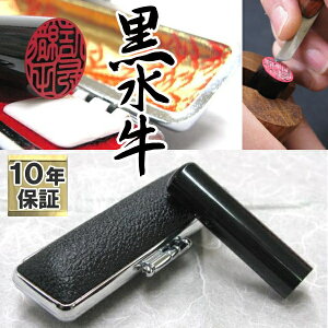 yMVP܁z    s F ӃP[Xt  nR AEj ӃZbg Mtg v[g oY  Љl j q 10Nۏ ԕiۏ y[ zy