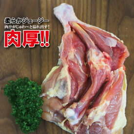 肉厚骨付き鶏もも肉ジャンボサイズ　1本入り冷凍250g以上　チキンレッグアメリカ産【モモ】【フライド】【国産並みの肉厚】【若鶏肉】