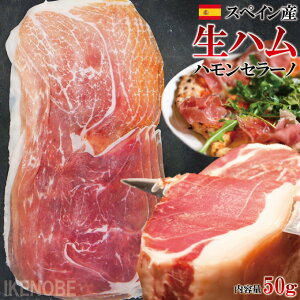 XyCYnZ[mnnXCX50g①i ͂ ThEBb` p} vV[g