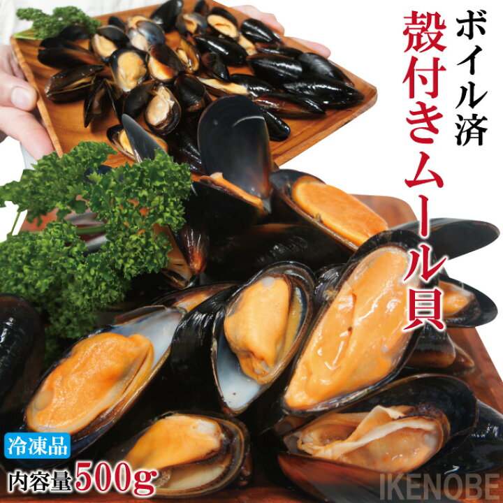 楽天市場 ムール貝500ｇボイル冷凍 殻付きムール貝 解凍後そのまま食べれます 鍋 パスタやパエリヤやブイヤベースに 香草焼にワイン蒸 イガイ ムラサキガイ パーナ貝ではない そうざい男しゃく