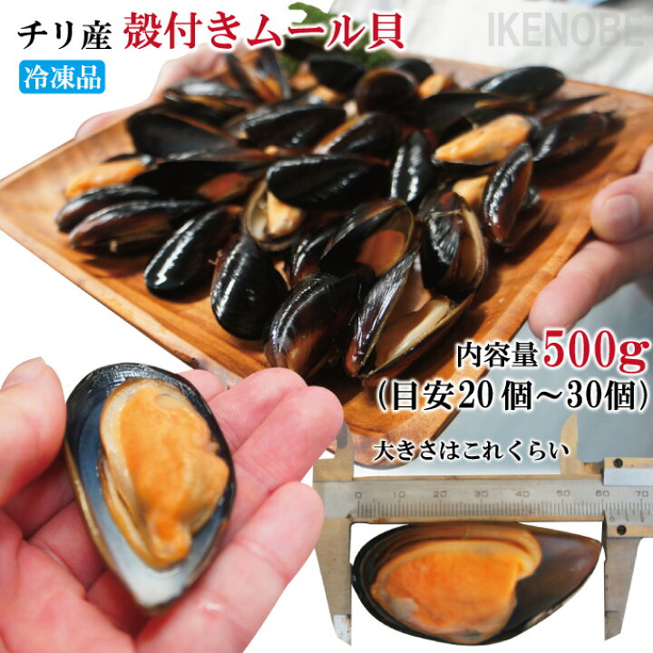 ボイル殻付ムール貝 インパクト