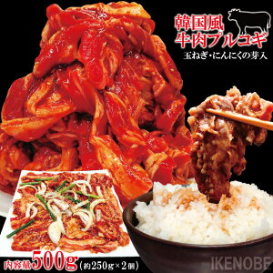 悭΂TCYvRM؍500g(250gx2)Ⓚ e ֗ȏΉ ɂɂ̉Ƌʂ˂ ē t YɕȂ킢 lߍ킹 ؗƂ