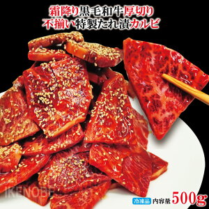 ~荕јa؂sЃJr500gⓀ Jr ē 񂹃O