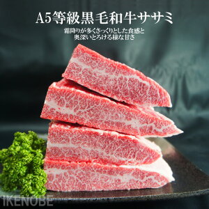 ʌ јaA5݃o600gⓀ 󏭕  јa Y A T[C Jr