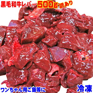 јao[500gⓀ񂿂pтȂ 󂠂