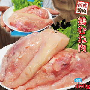 480gY{ނ˓lⓀiyzy{zÖוubN