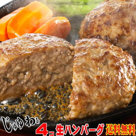 【送料無料】お試し用手作り生ハンバーグ4個入　肉汁たっぷりジュ—シーお肉たっぷり