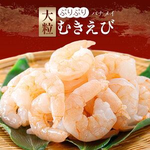 ՂՂ嗱 ނ 350g w^ o oiCGr ނGr TCY ނCV LGr w^   O Hi  20/40 ChY Ⓚ
