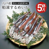 八戸産 船凍するめいか 5杯入 約1.3kg〜1.5kg レシピ付 【送料無料】 冷凍いか 船凍いか 真いか 冷凍 お…