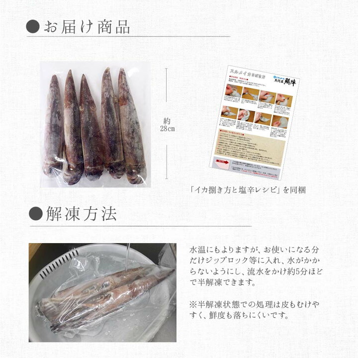 楽天市場 八戸産 船凍するめいか 5杯入 約1 3kg 1 5kg レシピ付 送料無料 冷凍いか 船凍いか 真いか 冷凍 お刺身 イカの塩辛 冷凍イカ 生 スルメイカ イカ刺し イカ 刺身用 食品 魚介類 シーフード q バーベキュー お取り寄せ 青森県 八戸市 産地直送 魚問屋 鯖陣