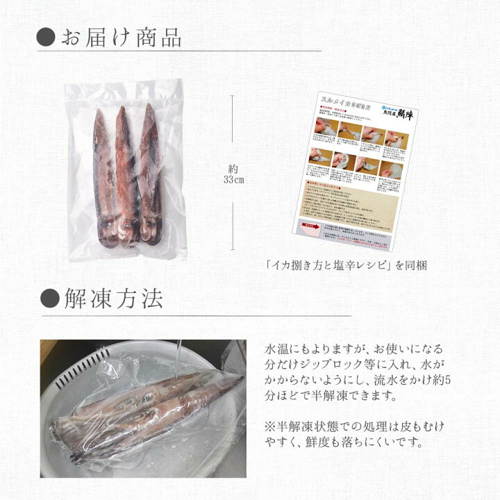 楽天市場 超特大 八戸産 船凍するめいか 3杯入 約1 2kg 1 3kg イカ スルメイカ いか 冷凍イカ 冷凍 船内冷凍 大型サイズ 船凍いか お刺身 イカの塩辛 冷凍いか 生 イカ刺し 刺身用 食品 魚介類 シーフード 生いか 肝 刺身いか お取り寄せ 青森県 魚問屋 鯖陣